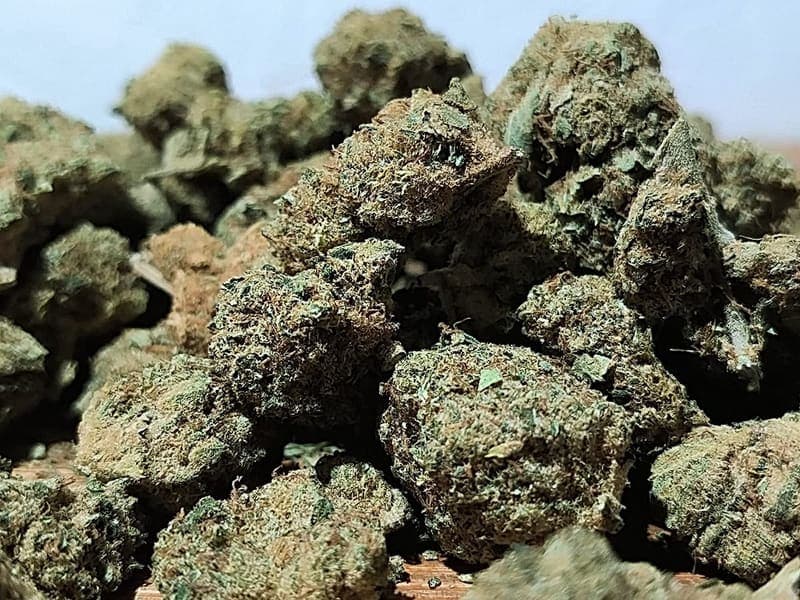 Fleurs de CBD Indoor et Greenhouse - boutique Lyon Terreaux